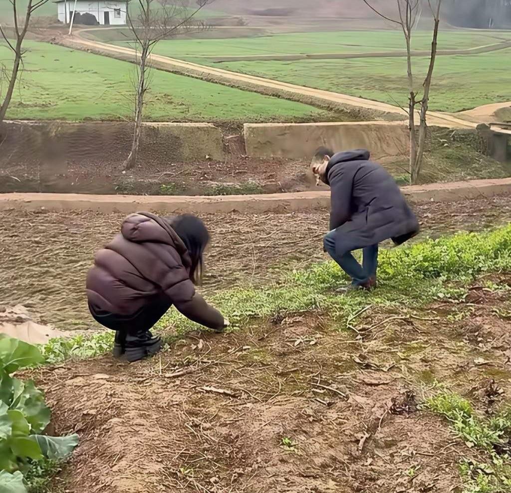 57岁丈夫，拒绝为40岁妻子生孩子，却给了她千万资产。这不是亏欠，是一场精准的计