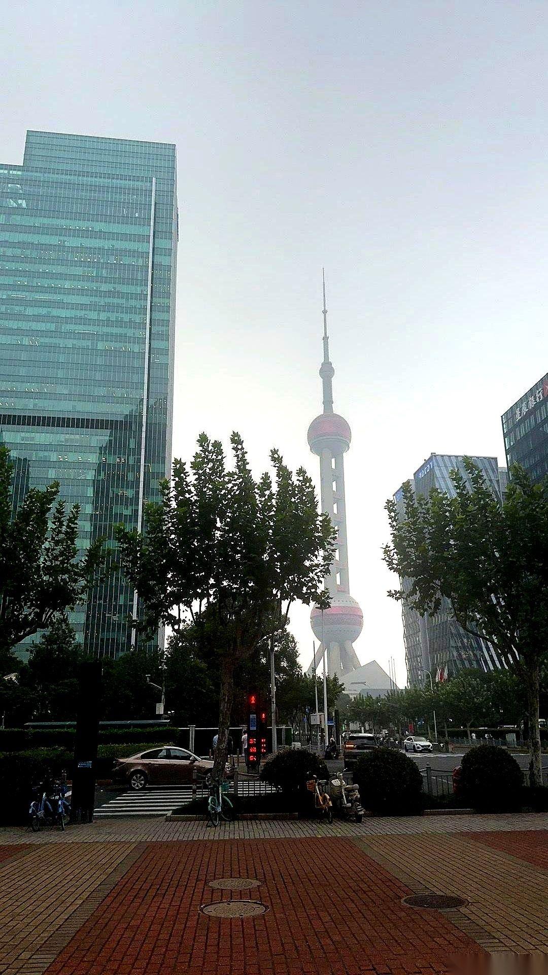 广州二沙岛那帮业主，当年大概以为自己能说了算。他们联合起来，态度强硬，坚决不让