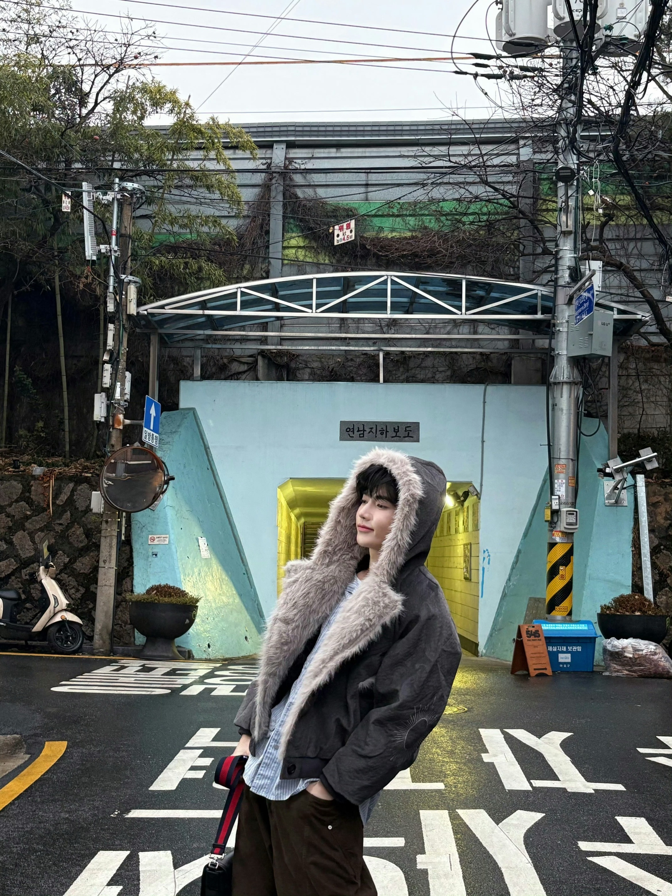 章昊毛茸茸小狗九敏🆘这个章昊太萌了叭！毛茸茸小狗能不能人手一只啊