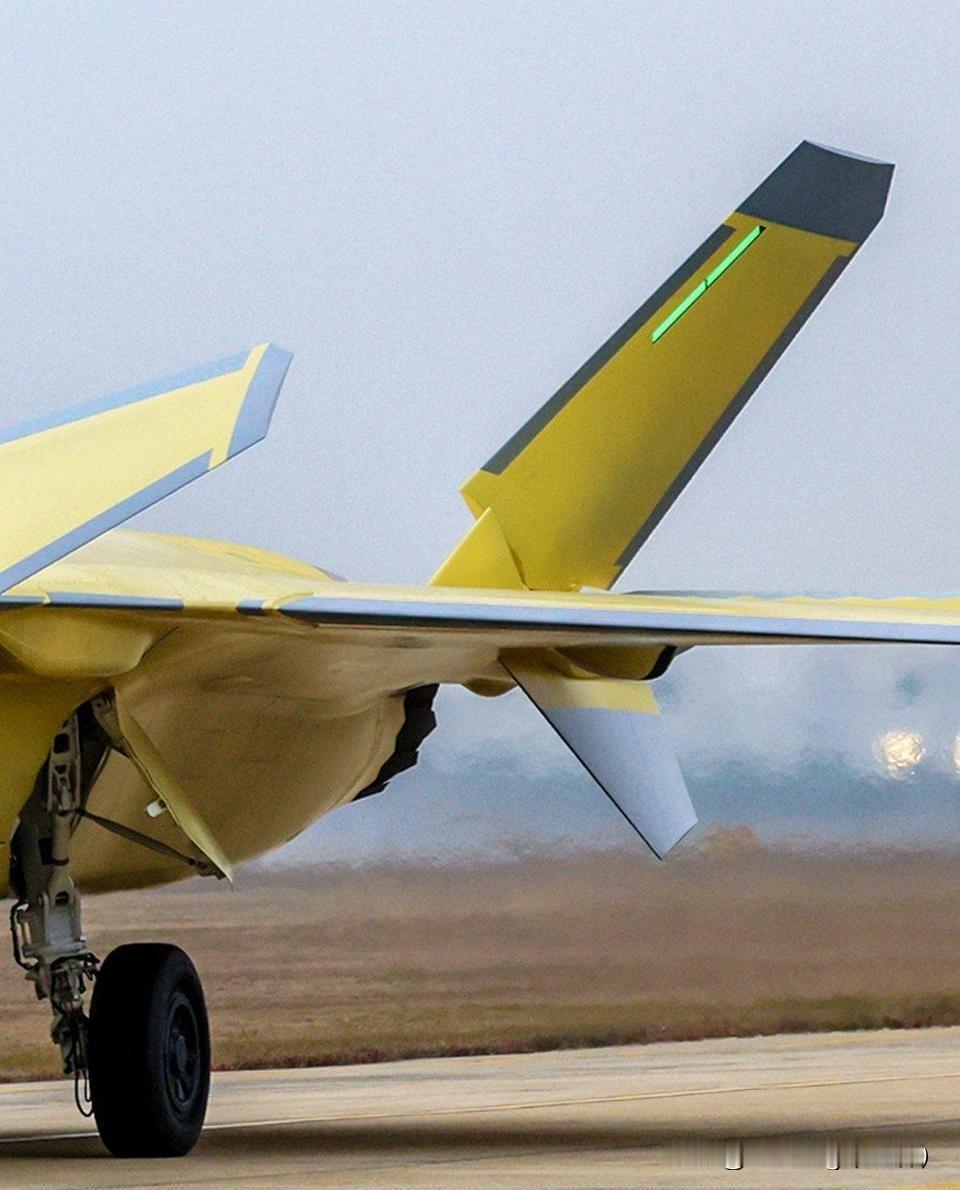 工艺水平稳步提升...这大脖子一看就能多了好多电子设备和内油..腹鳍这是换成