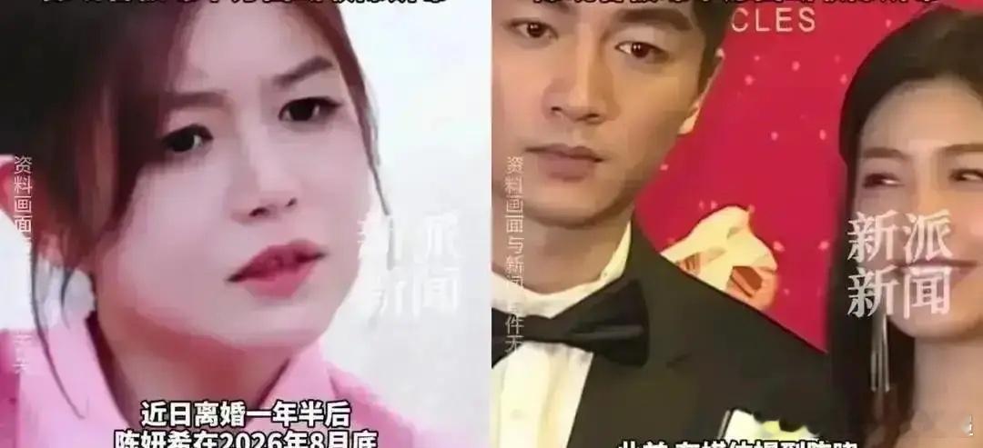 陈晓把2.5亿的婚后财产划到一旁，连翻都没翻那半人高的文件，只提了一个要求：换掉