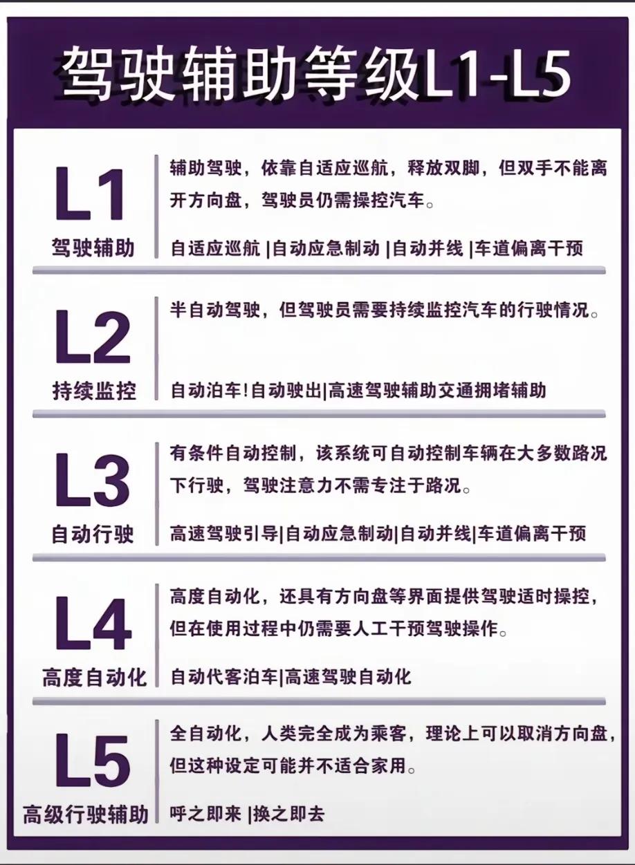 如果一辆汽车做不好AEB的话，连L1都不配叫的。刚看了一眼辅助驾驶等级表，如