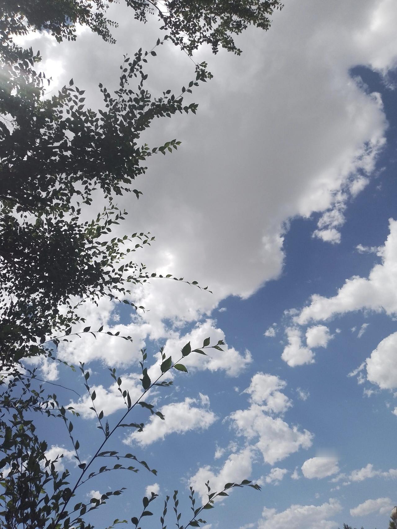 蓝天到底有多高？告诉你一个你不知道的“天高地厚”！嘿，朋友们！今天咱们来聊聊