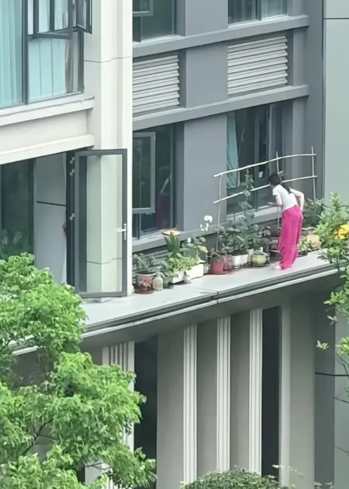 在阳台上的一幕，惊呆了。
