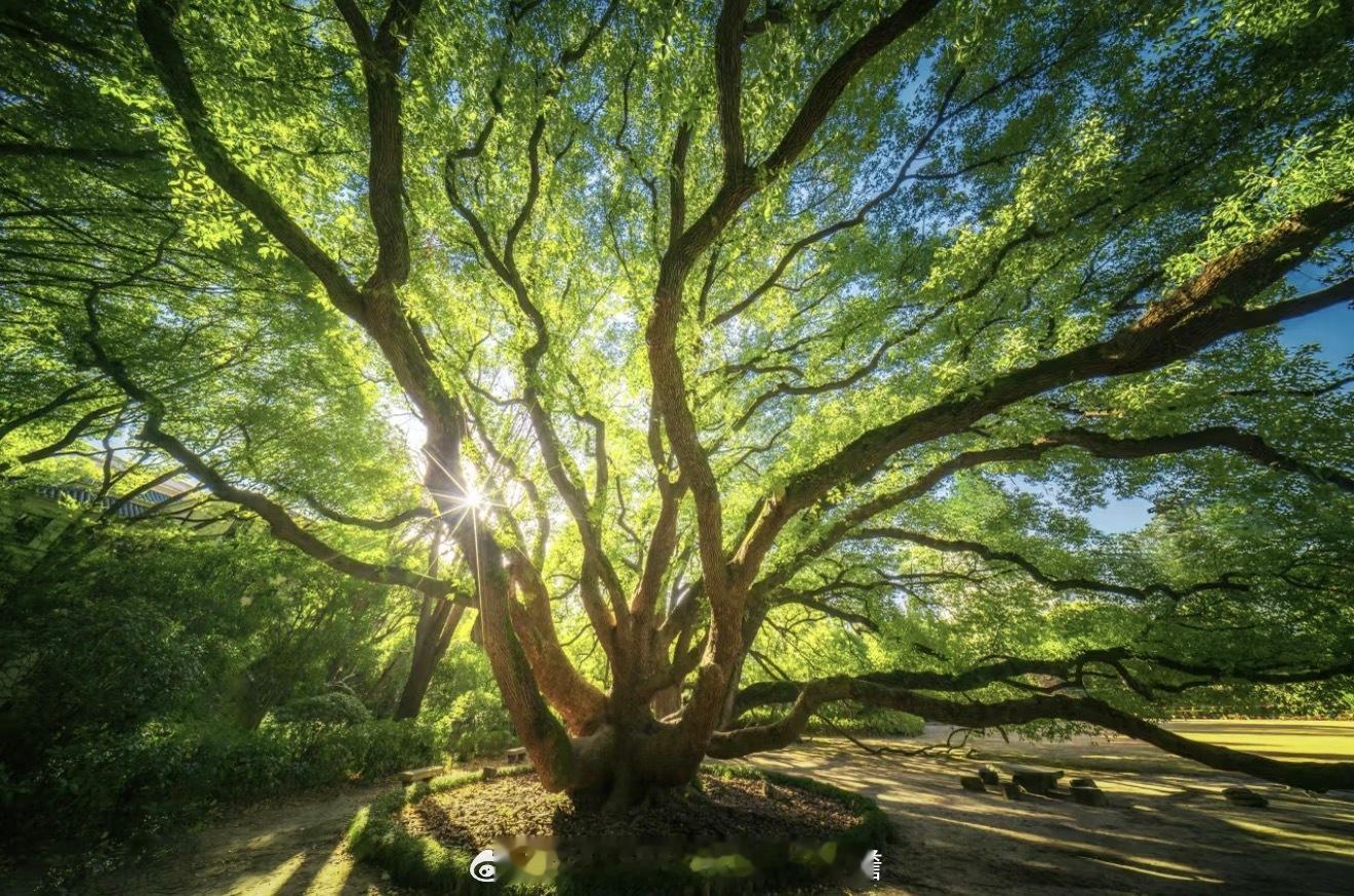 很多人觉得只要做好交易，赚到大钱，就可以到达人生巅峰，从此一路平坦了，其实并不是