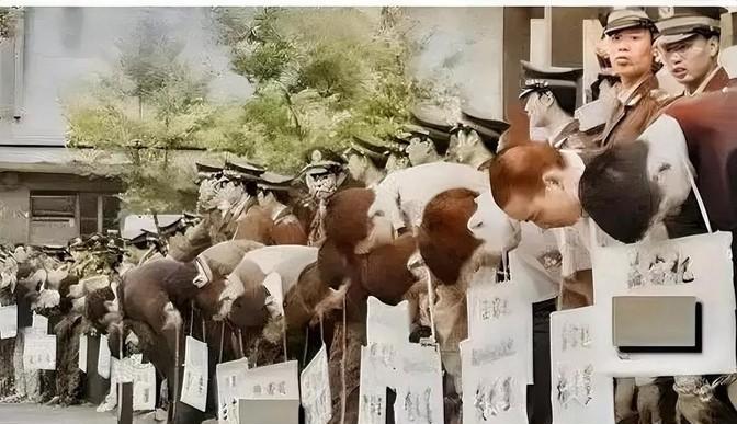 1983年，唐山菜刀队被枪决时的场景令人震惊。这些年轻人因犯罪而被判处死刑，他们