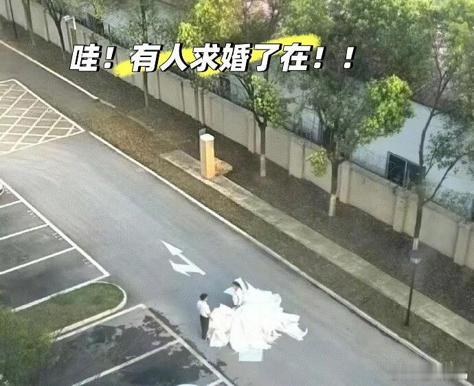 以为楼下在求婚，结果是保安和保洁…​​​