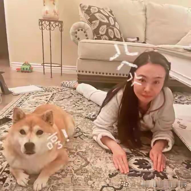 爽子回应变脸质疑，避谈医美一味卖惨，爽子最近重新营业了，她在豪宅与柯基狗一起练瑜