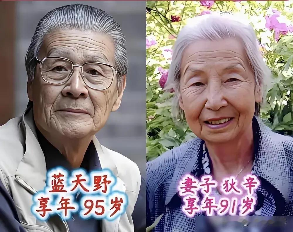 老艺术家蓝天野演技特别好，夫妻恩爱老艺术家张勇手演技特别好，夫妻恩爱老艺术家