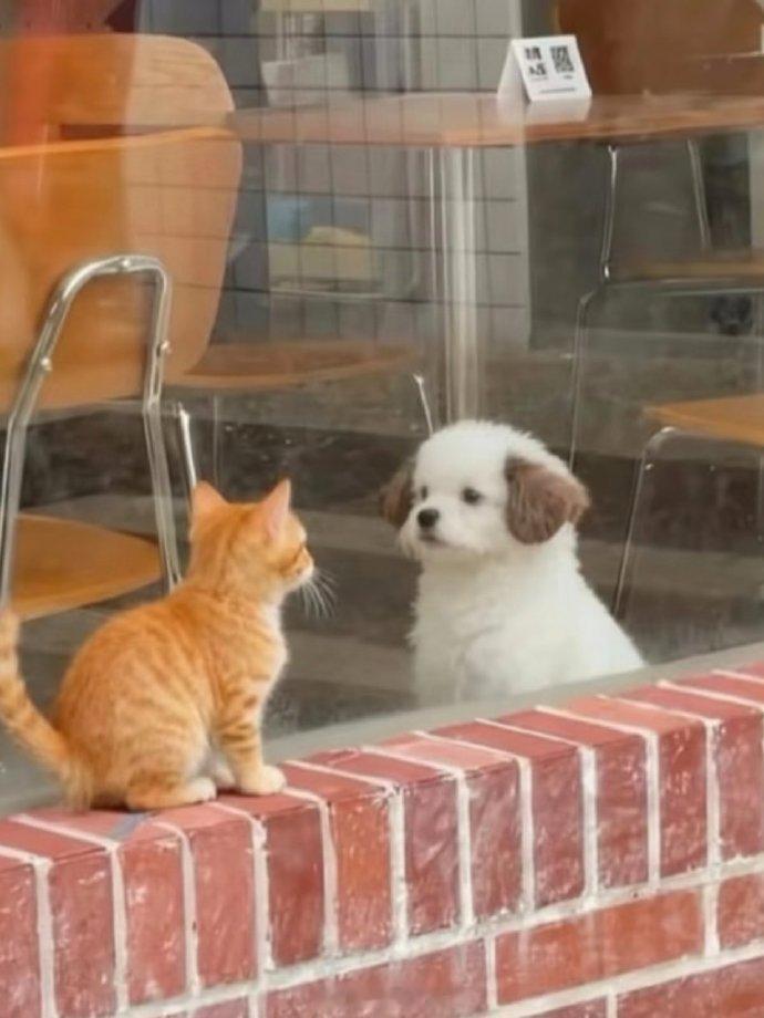 我们，隔着一层玻璃相爱～