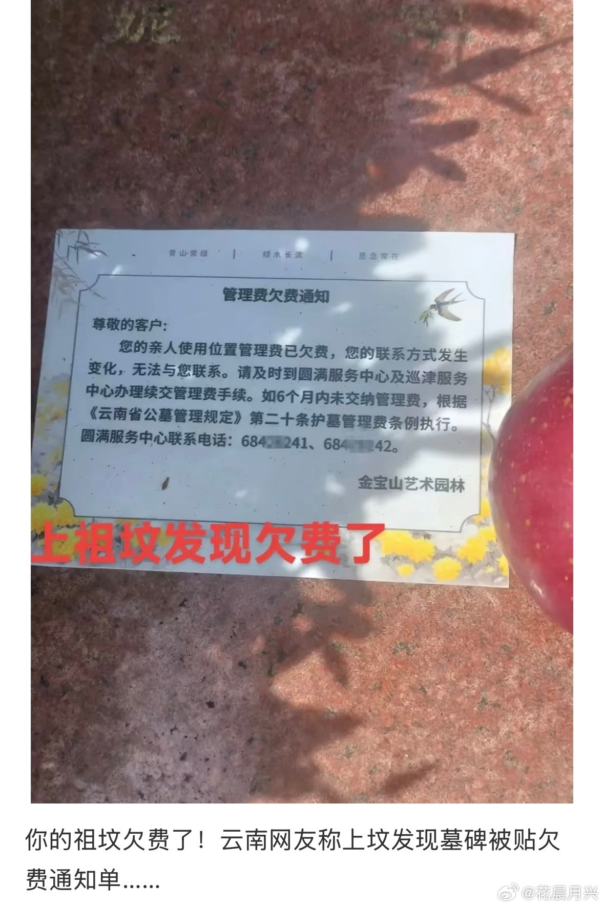 想想都觉得无奈，活着要扛房贷，死了连块安息的地方都要被追着要“房租”，那些无后家