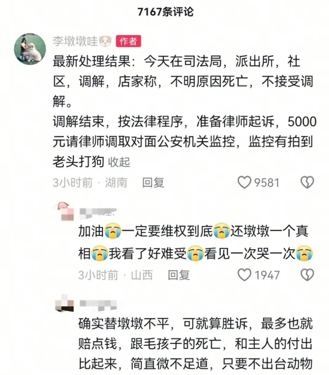 突然间，自己的店内闯进来一条既没有拴狗绳，也没有主人跟着的大狗，张着大嘴，吐着舌