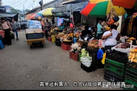 洪都拉斯可太有料了中美洲的宝藏国，玛雅古迹科潘遗址超震撼，还是拉美第三大咖啡出