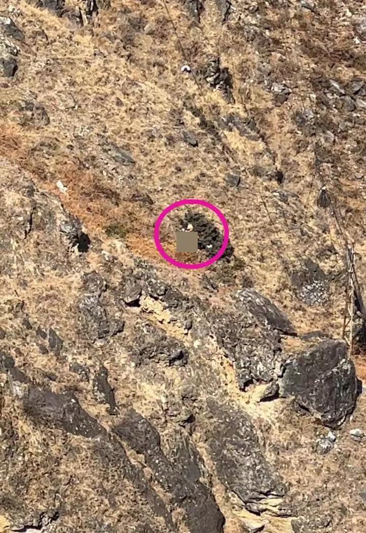 大年初五，本是阖家欢乐的日子，云南迪庆州香格里拉市虎跳峡却发生了悲剧，一个8岁男