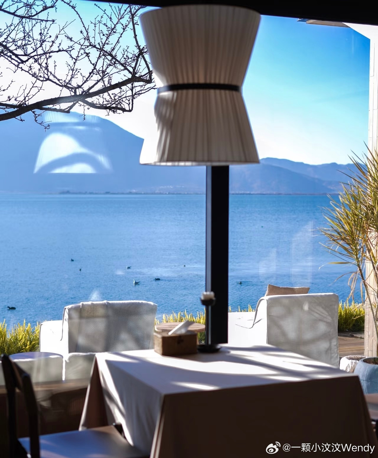 大理是真的很美🩷成都