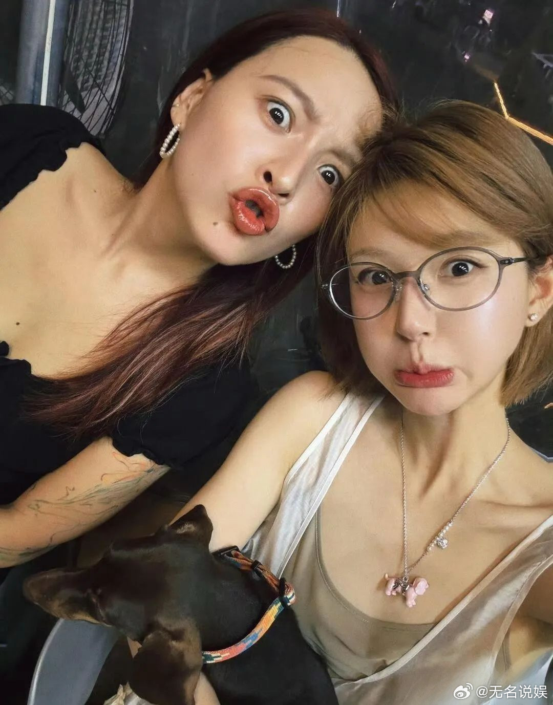 业内透露赵露思被时尚圈拉黑了！业内透露白鹿接下来有时装女刊，赵露思粉丝询问业内赵