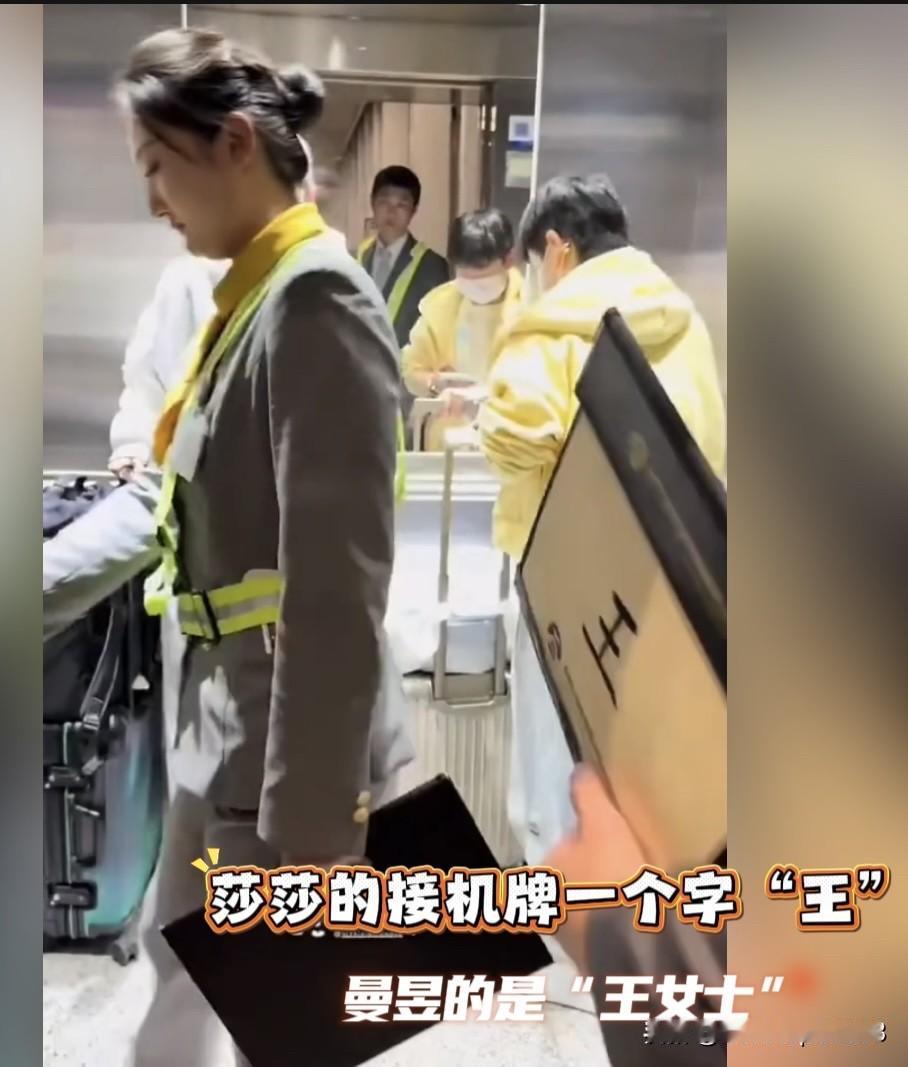 莎莎到达北京机场，vip的接机牌是一个字“王”，曼昱的是王女士。莎莎换过很多