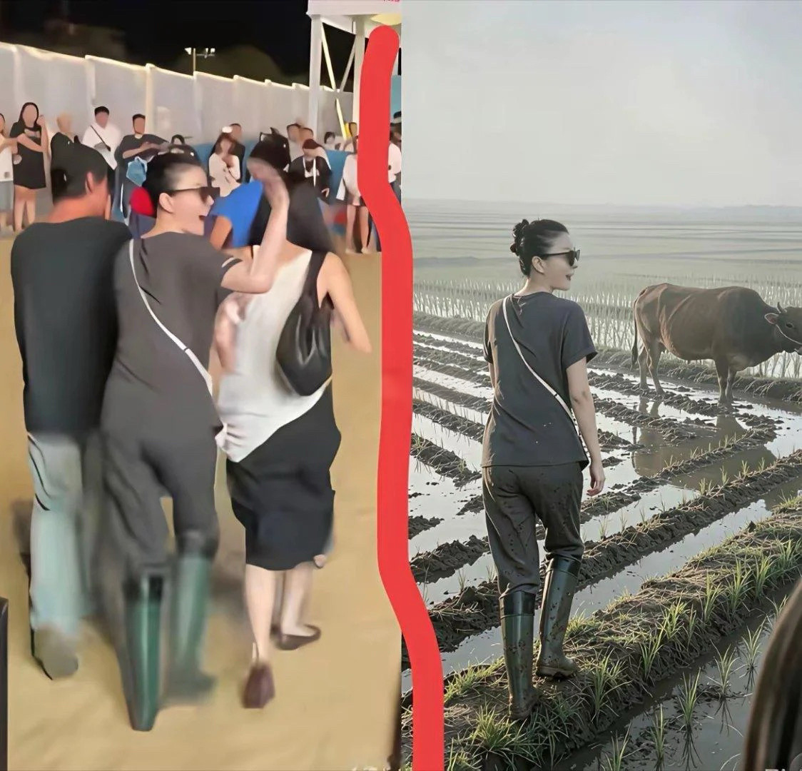 王菲穿这套，才会看起来不像犁田的，但凡是换个人，这套一上身，妥妥的是庄家人了​