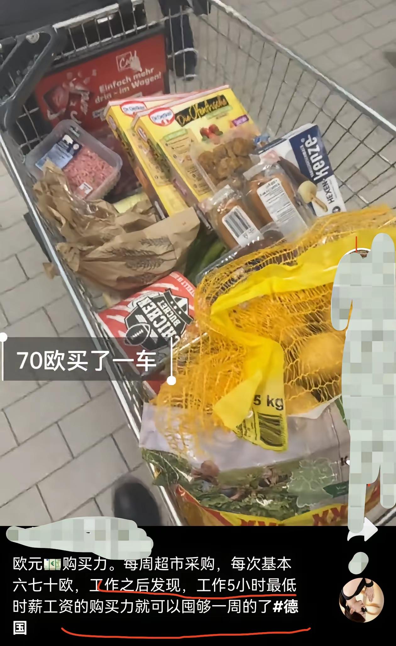 留学生花了70欧买这一车东西，然后炫耀外国物价低。然后仔细一看，全是面包、土豆