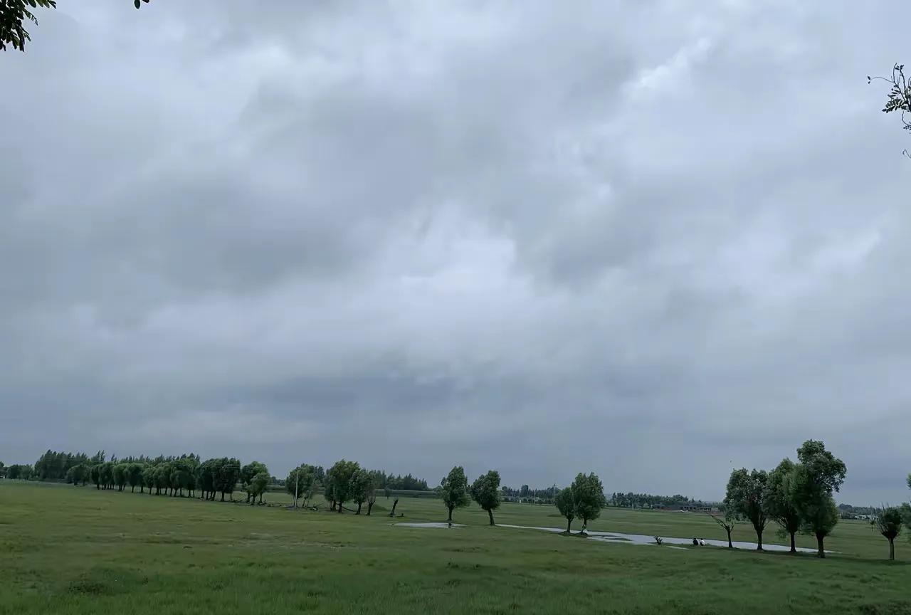 昨天刚刚立秋，今天已是秋雨连绵，连天明也等不及，穿衣推窗，早已是秋雨濛濛。北方干