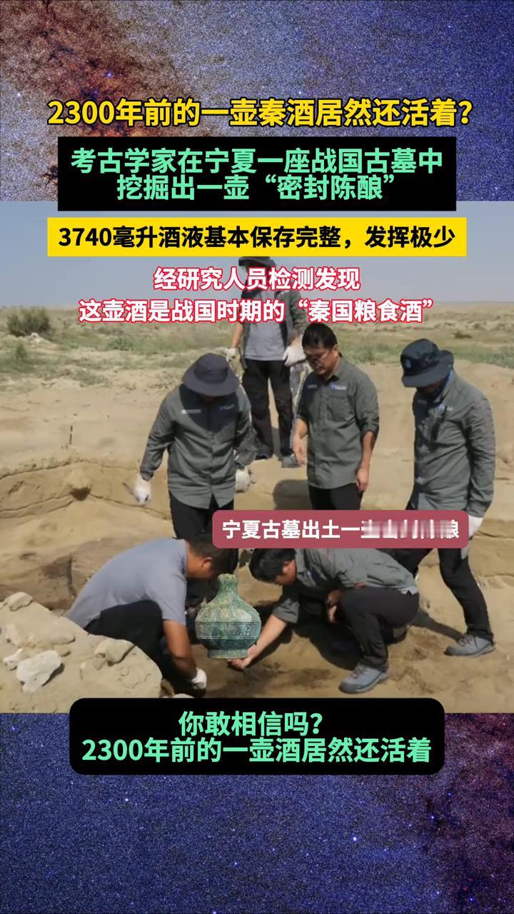 2300年前的一壶秦酒居然还活着？考古学家在宁夏一座战国古墓中挖掘出一壶"密封陈