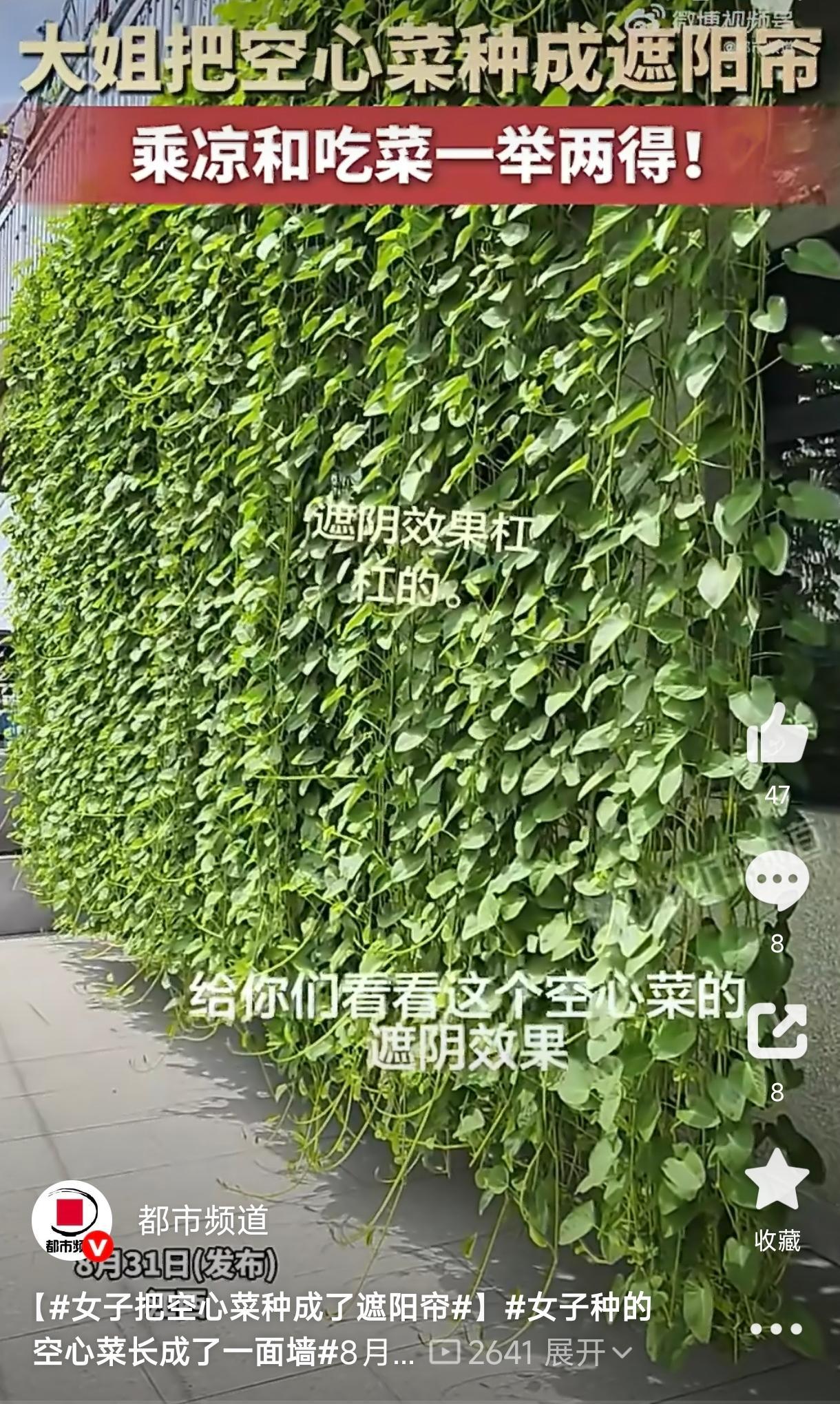 人怎么这么聪明！江西，一女子家里夏天西晒严重，屋里热得像蒸笼。她没装遮阳帘，也没