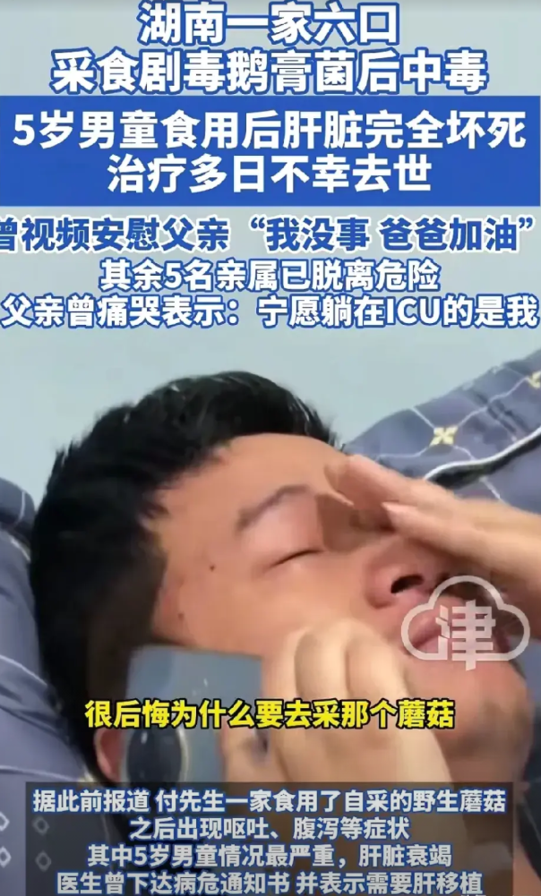 5月29日，湖南一父亲采食野生蘑菇，5岁男童食用后肝脏完全坏死，治疗多日不幸去世