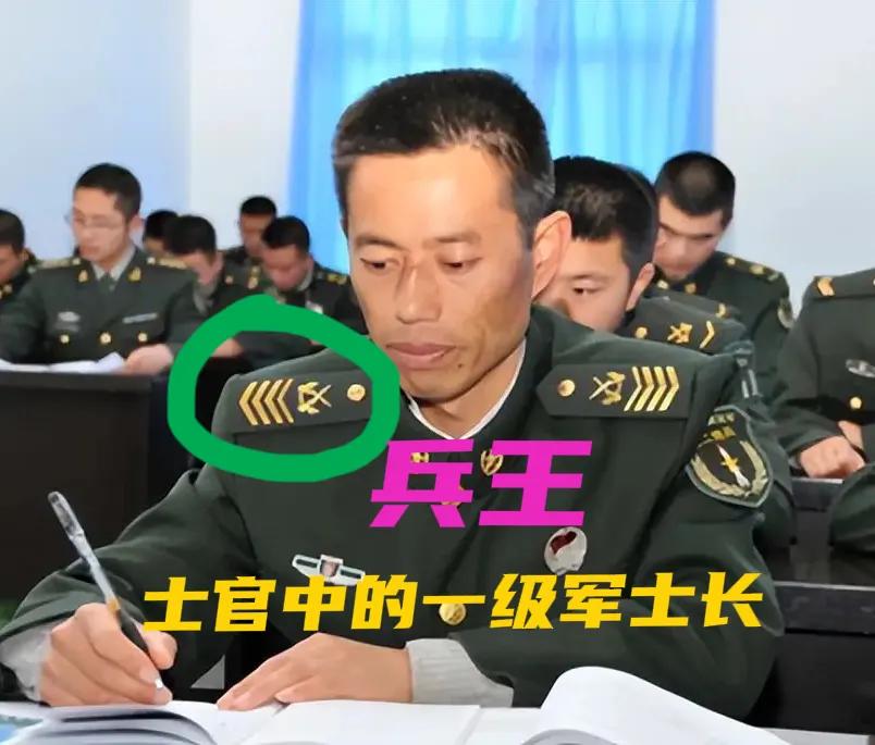 弄不懂！部队有士官学院，地方有辅警学院，从新兵晋升到一级军士长至少24年；从见习