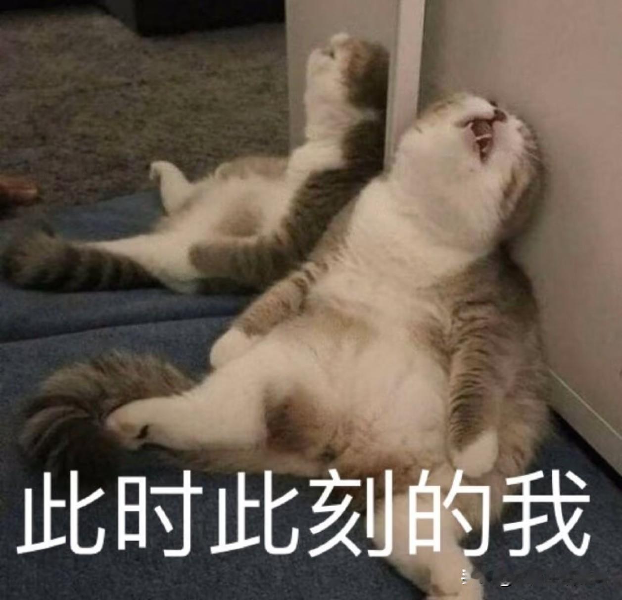 历经几小时车程，回到家的我都要累躺了……