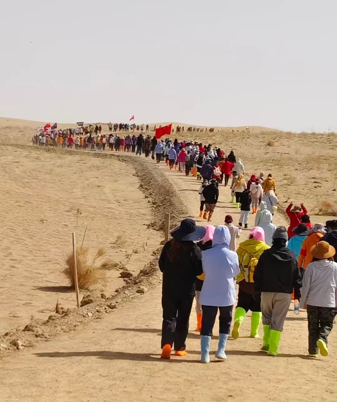 被中国人的沙漠植树奇迹震撼了沙漠里种树有多难？风吹沙埋，刚种下就可能被盖住。但