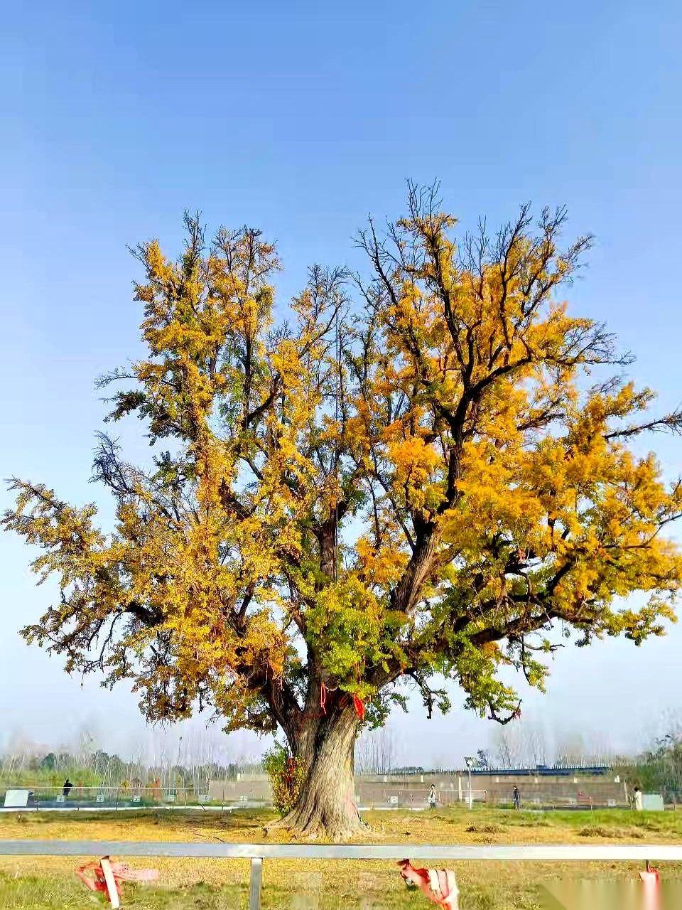 有一种人，就是来耗干你气运的。我跟你讲，这根本不是什么玄学，这就是人性。他让