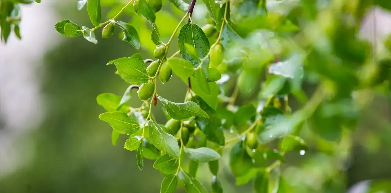 2025年，中国成年人中，孤独感和压力越来越重，很多中年人突然发现，身边的人一个