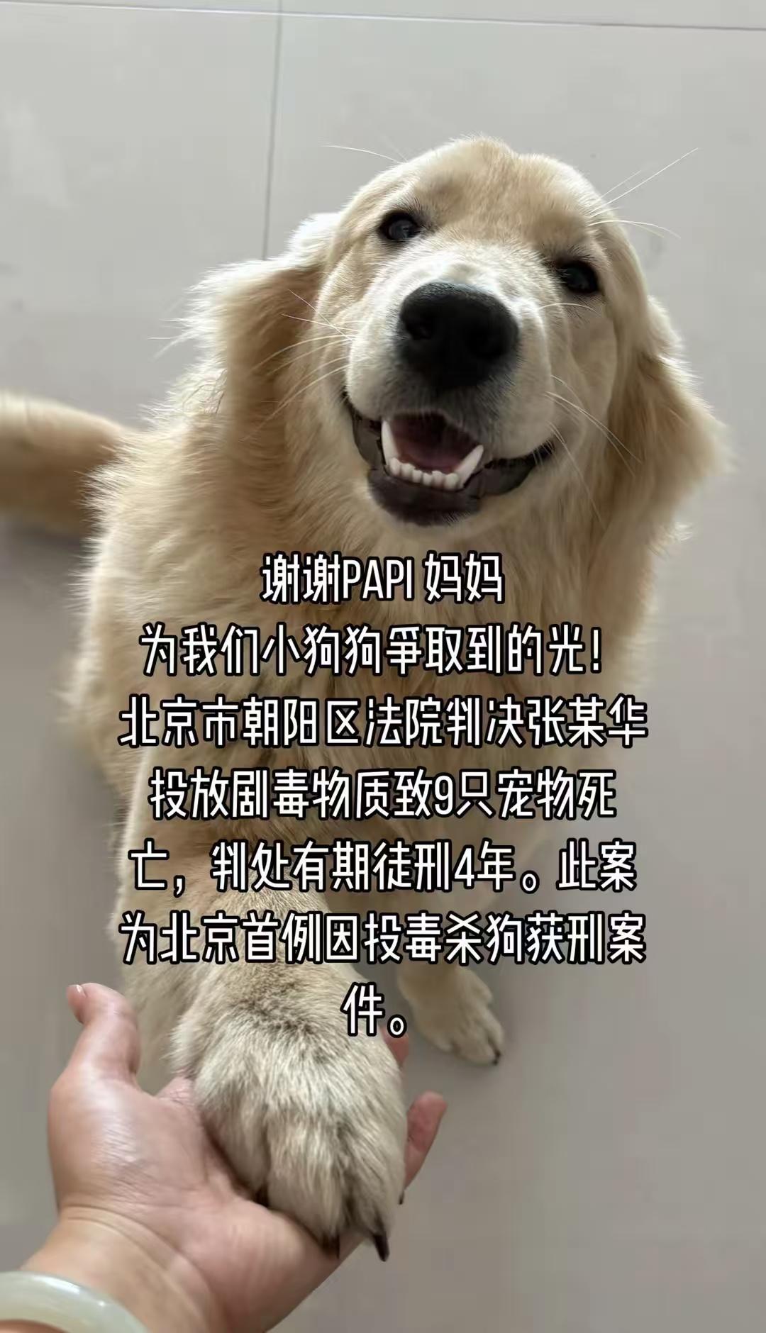 养狗人终于扬眉吐气了一回。要是用这份执着对待她父母亲人，那才是人之常情！然而