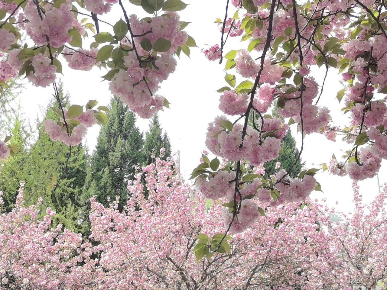 晒图笔记大赛生命将给予你的，必然全给你，不必等待，无需远行。你必须爱自己、爱生活