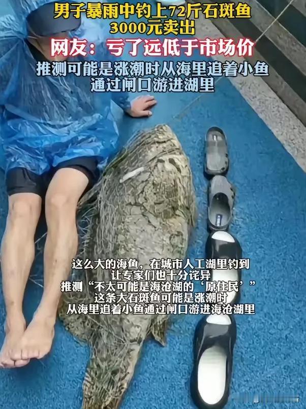 亏大了！6月17日，福建，男子钓鱼感觉拉力很大，以为是条大鱼！结果，当他拉上岸时