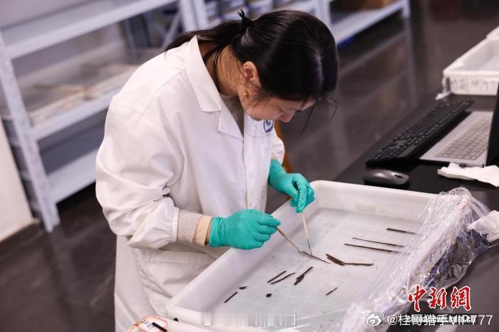 桂哥评：这个太有意思了，还能考古发现千年前的历史简牍。[抠鼻][抠鼻][抠鼻]=