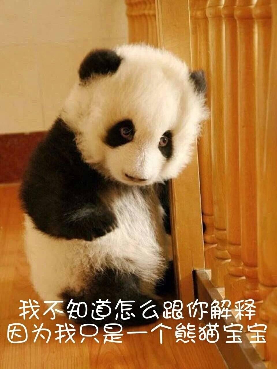 时至今日，我做的梦里面，时不时会有高中数学课被喊起回答问题，自己呆若木鸡。我的