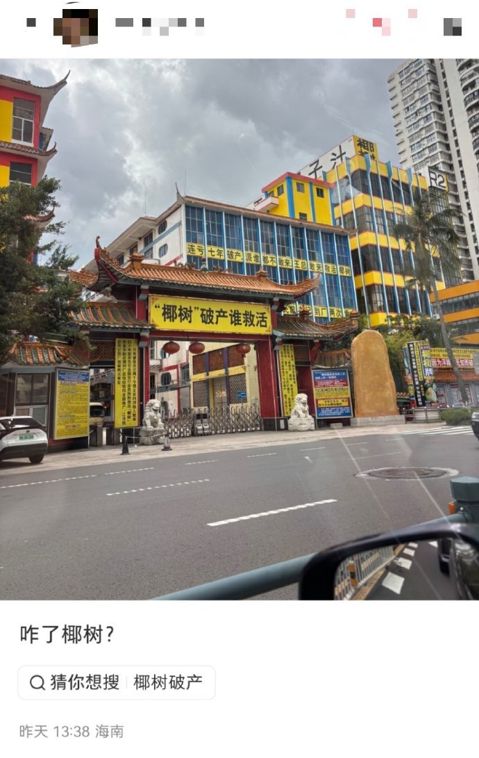 笑晕了，感觉有椰树的地方都会很吵闹是不是​​​​