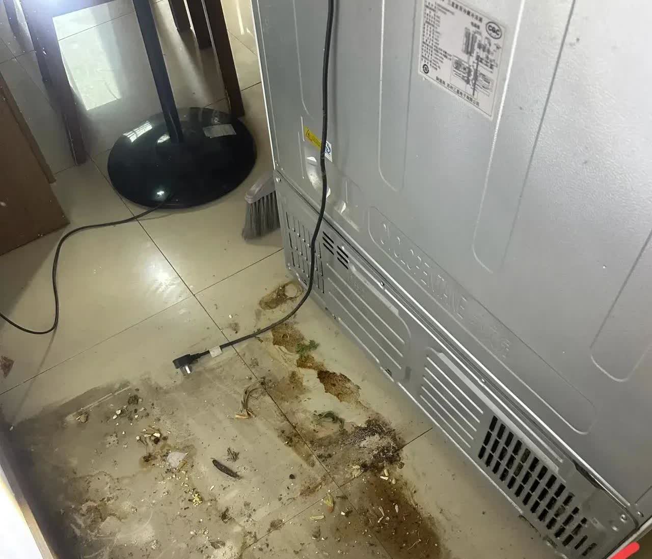 山东，一名女子端午节闲在家里没事做，突然想到把冰箱底下给打扫一下，结果，她把冰箱