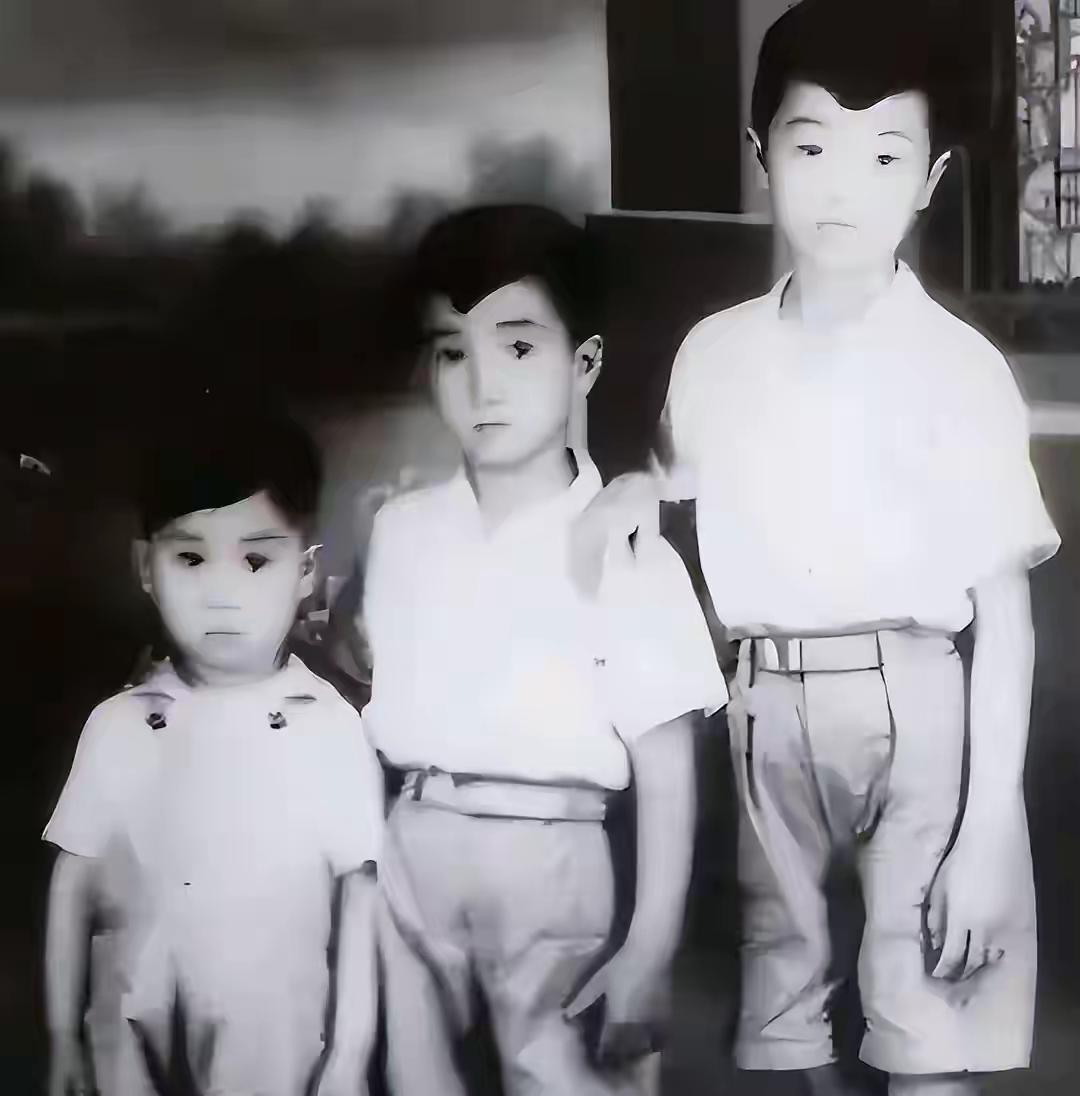 刘青山、刘铁骑、刘铁甲、刘铁兵、李克才，这几个人的名字，在三十年后的一次相见中，