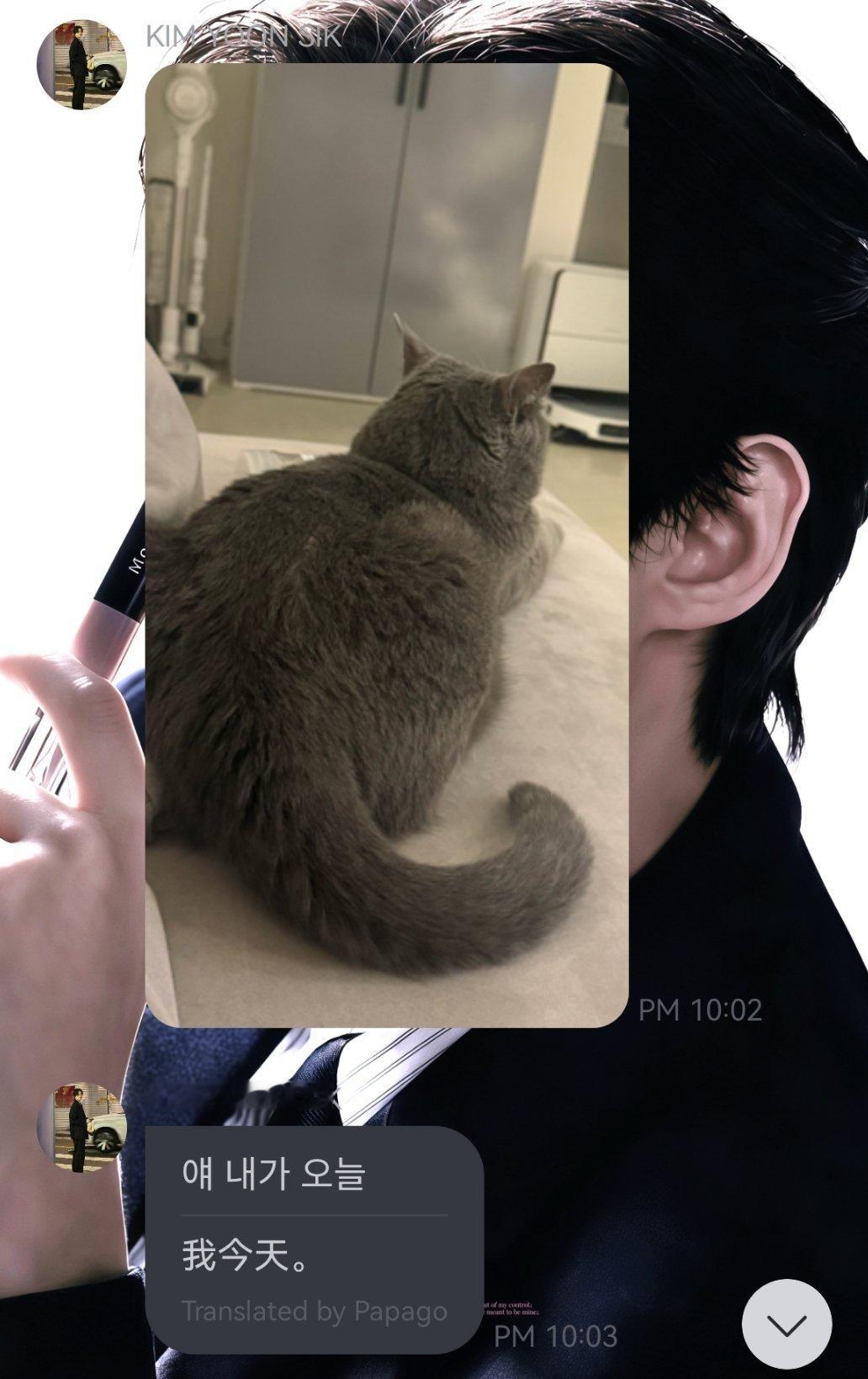 猫咪和朋友都要围着欧巴转才行
