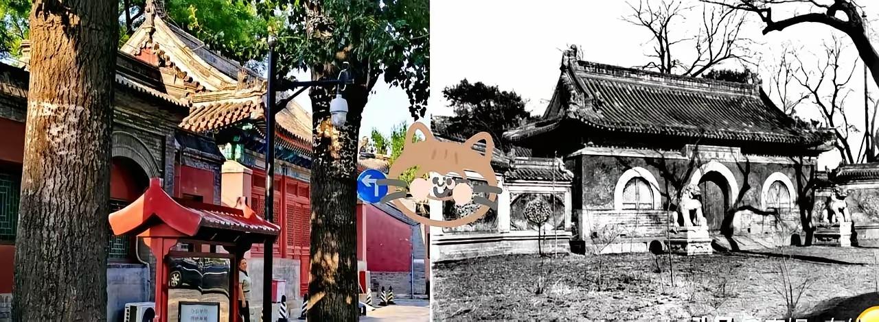 一句脱口的日语，让法雨寺的假面当场裂开。几位披袈裟的日本僧人，住了好几年，天天撞