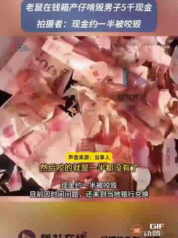 河南驻马店一名男子在家里存了5000块钱现金，平时很少查看，可突然有一天，他发现