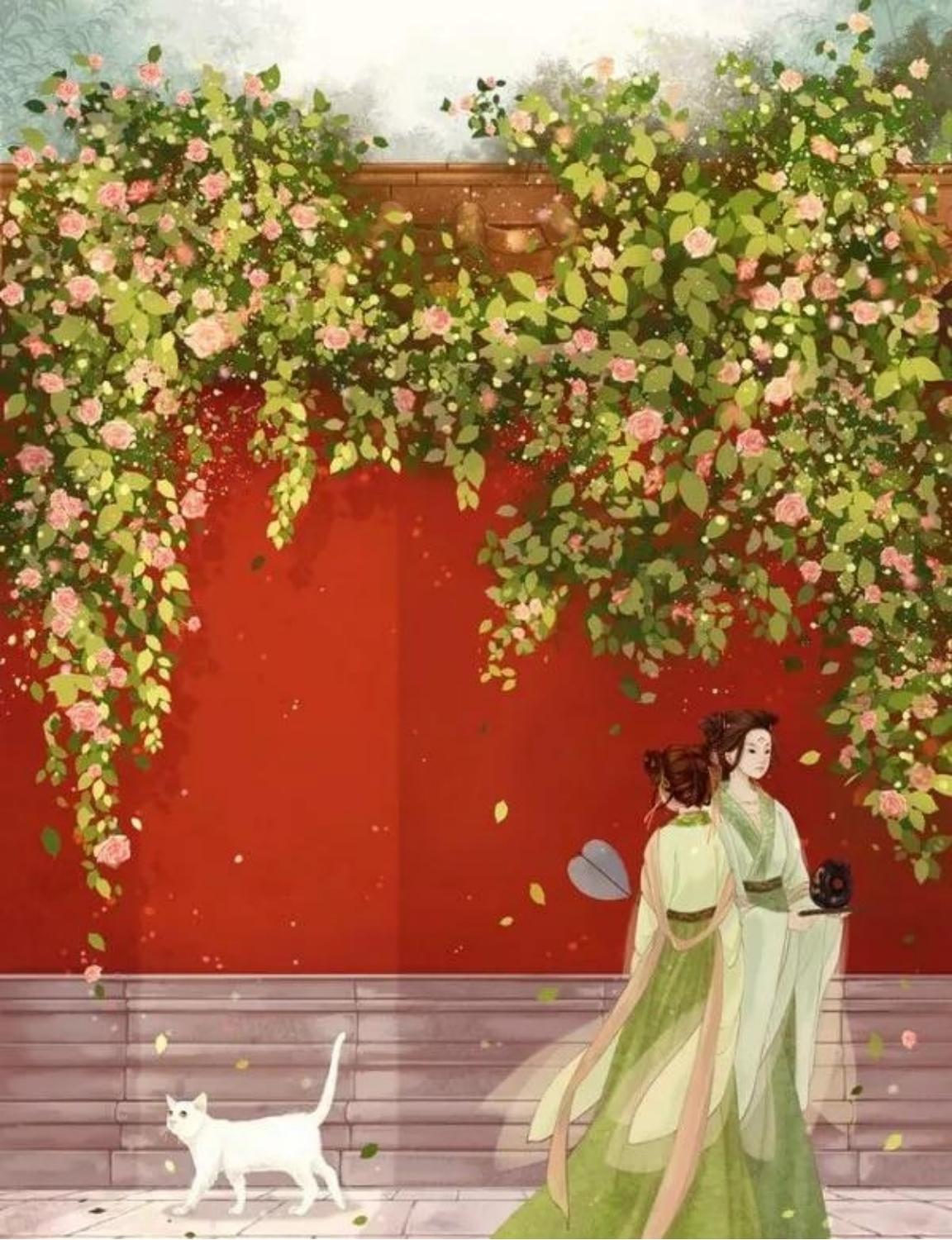 唐朝年间，一老宫女被放出宫，无奈，抱着百宝箱急嫁一穷书生。新婚夜，两人翻云覆雨，