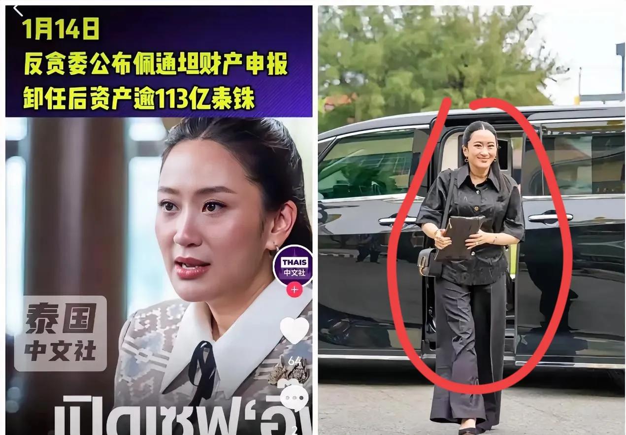 看完了泰国那个“前总理”佩通坦的财产公示，我是真没忍住，酸了。113.2亿泰