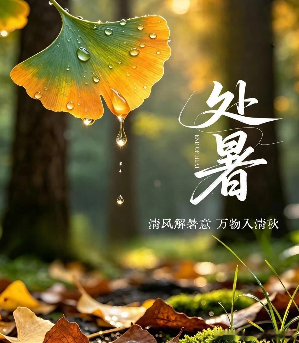 杨绛人间清醒语录：人要学会装傻，有时候知道的多了，未必是好事，发现了真相，疼的是
