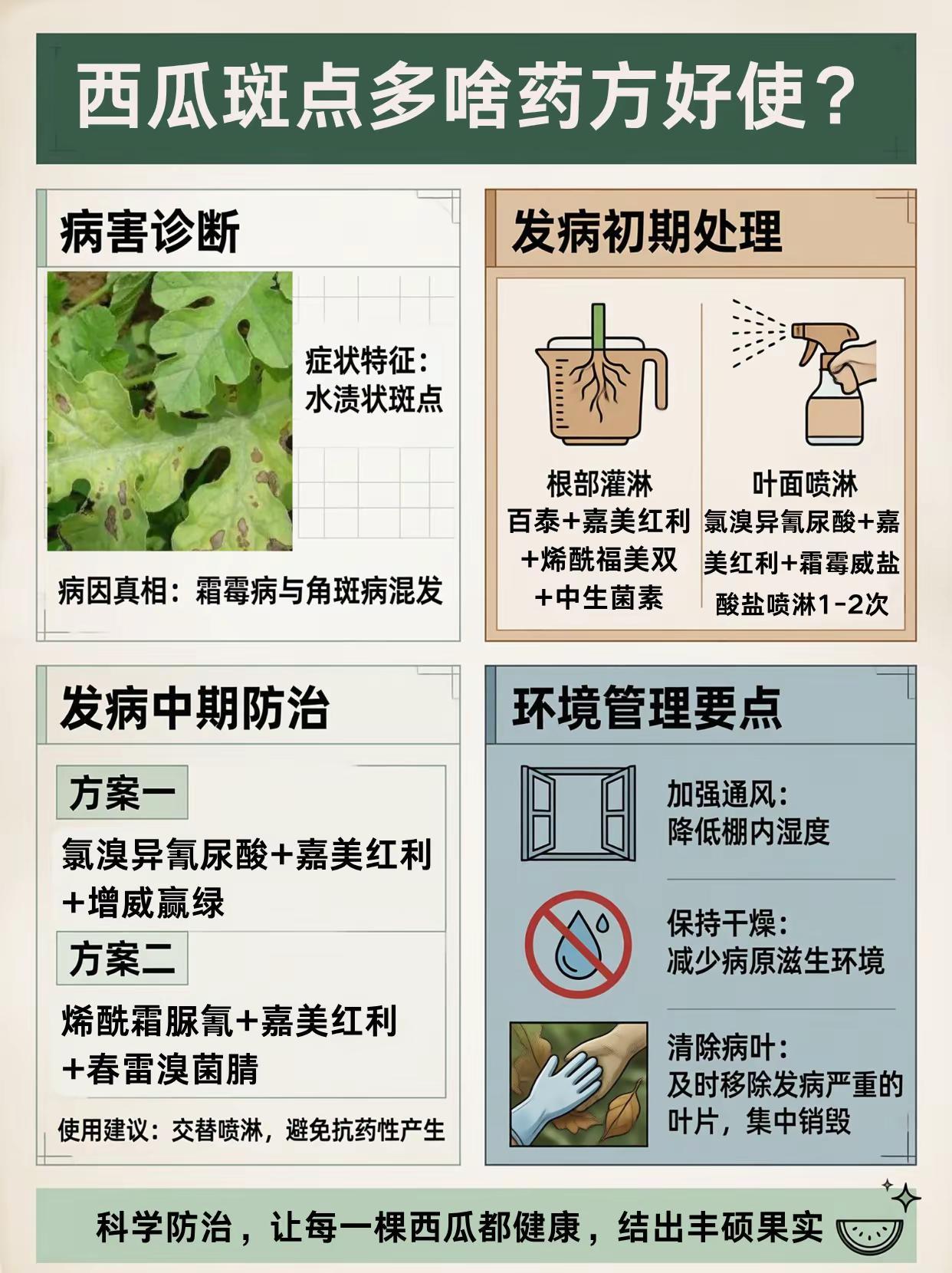 西瓜斑点多啥药方好使？。西瓜种植斑点病害霜霉病