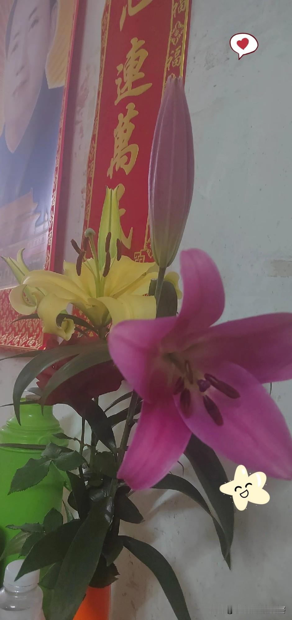 说真心话，我打心底里不喜欢回老公的农村老家过年，每次去都像熬一场硬仗！