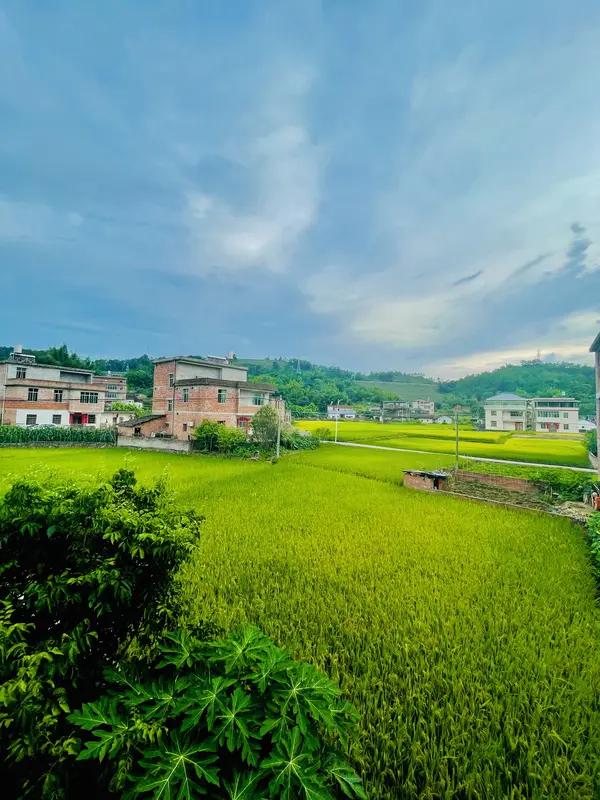 虽然没法直接分享照片，但脑海里能浮现出那绝美的田园风光。就像广西桂林阳朔县遇龙河