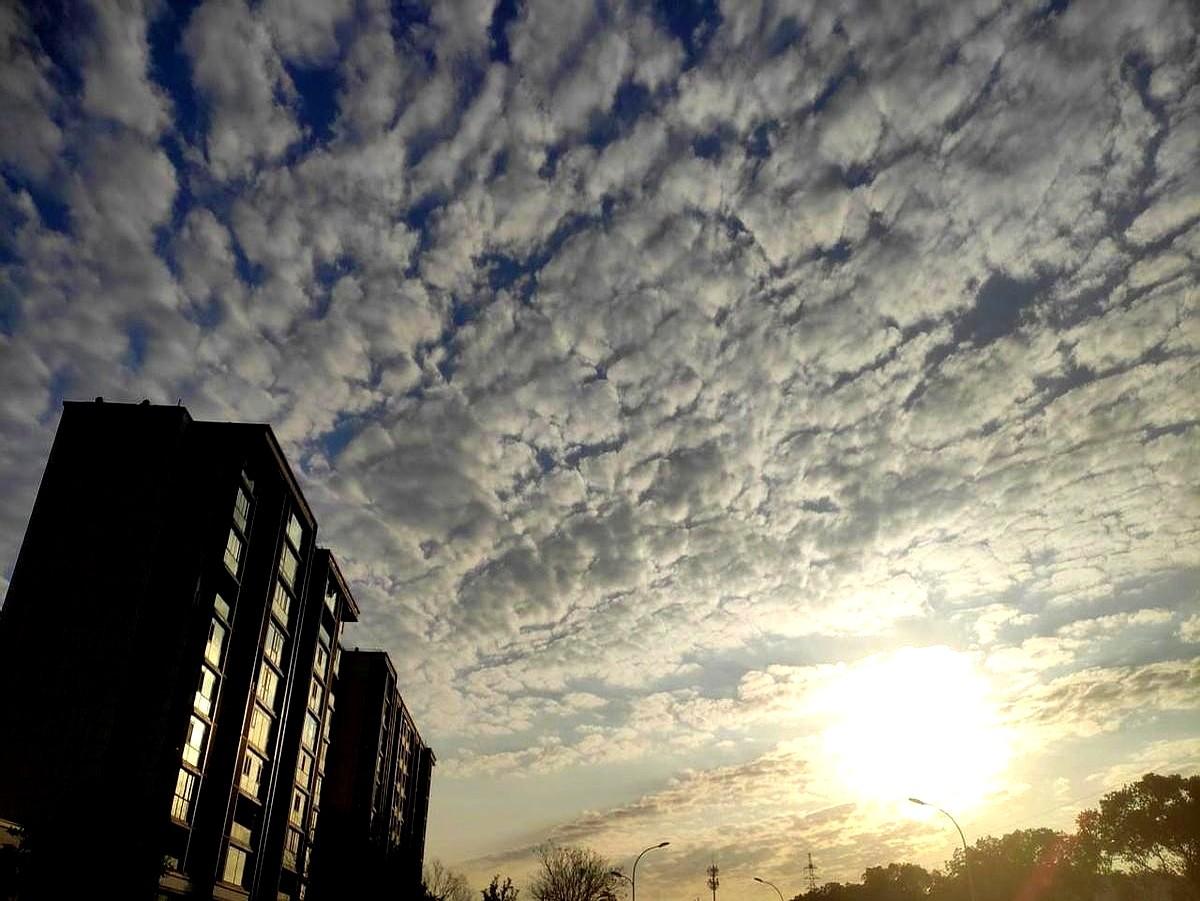 巨门武曲廉贞……最近这几个星象，快被网友盘成“脱单困难户”了。就因为一段紫微